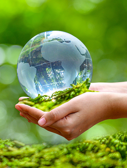 Sürdürülebilirlik